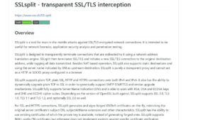 Read more about the article SSLsplit
