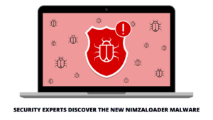 Read more about the article Security experts discover the new NimzaLoader Malware