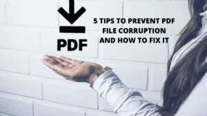 Read more about the article 5 Tips to Prevent PDF File Corruption and How to Fix It