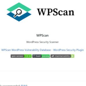 Read more about the article WPScan