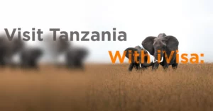 Visit Tanzania with iVisa: easily accessible!