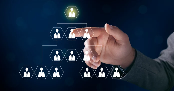 organizational structure examples small business