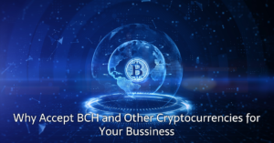 Why Accept BCH and other cryptocurrencies for Your Bussiness