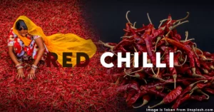Wellhealthorganic.Com:Red-Chilli-You-Should-Know-About-Red-Chilli-Uses-Benefits-Side-Effects: The Tips For Today!