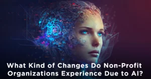 What Kind of Changes Do Non-Profit Organizations Experience Due to AI?