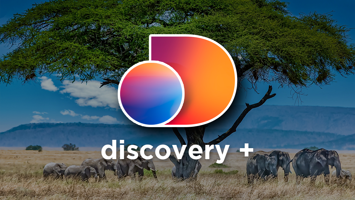 Auth.Discovery Plus/ResetPassword Change or Reset Your Discovery+