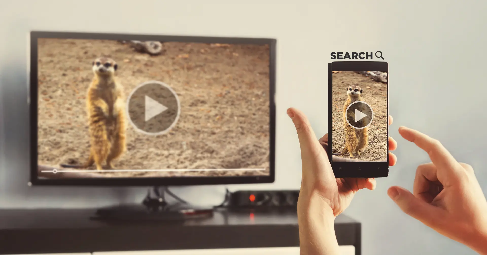Reverse Video Search What Is It? How To Do It? IEMLabs Blog