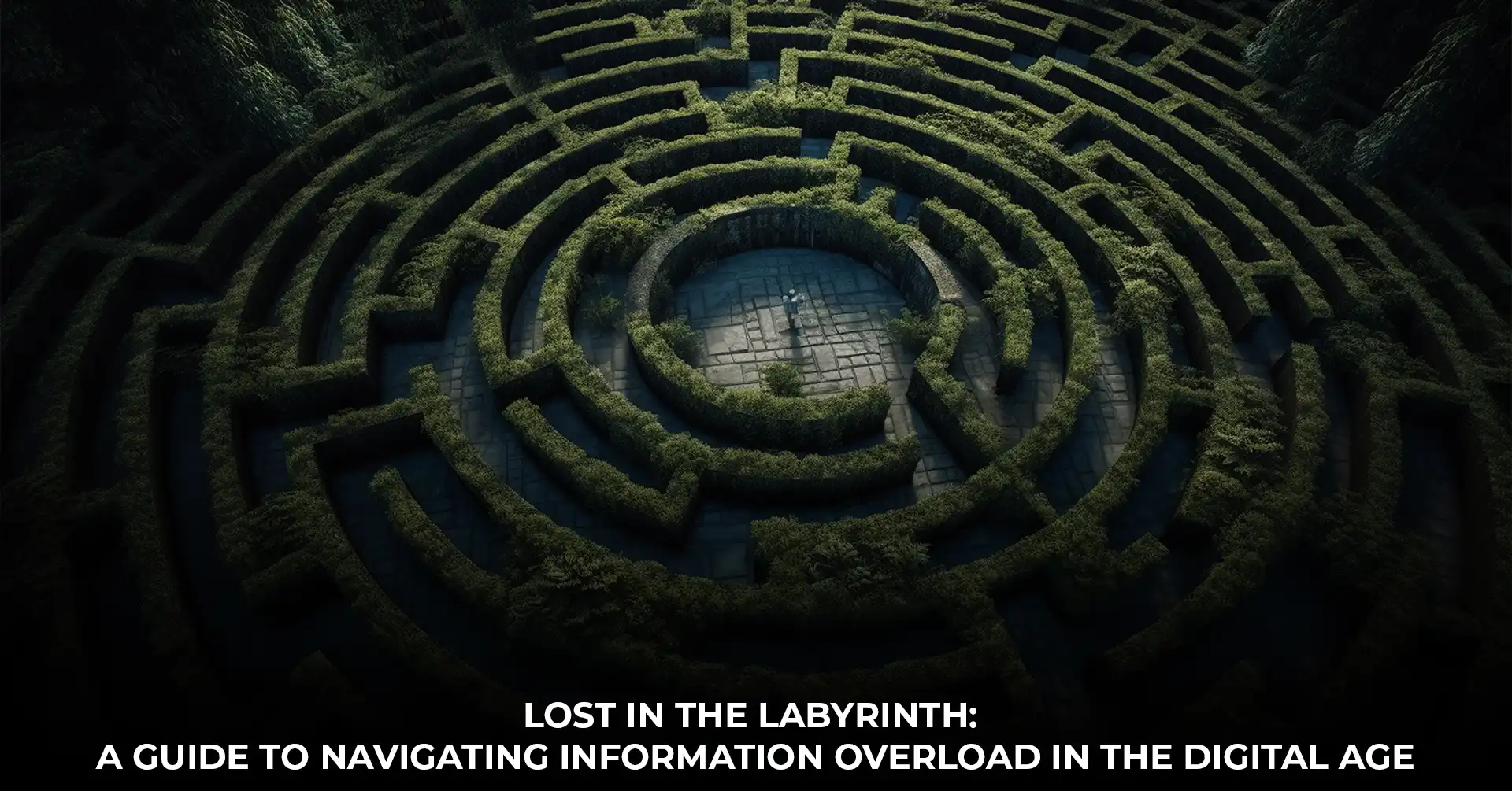 Lost in the Labyrinth A Guide to Navigating Information Overload in